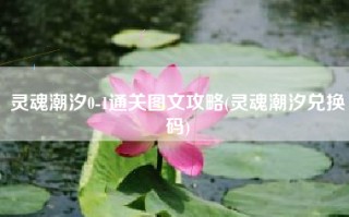 灵魂潮汐0-1通关图文攻略(灵魂潮汐兑换码)
