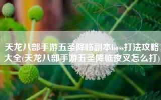 天龙八部手游五圣降临副本boss打法攻略大全(天龙八部手游五圣降临夜叉怎么打)