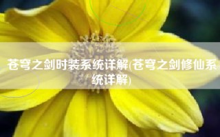 苍穹之剑时装系统详解(苍穹之剑修仙系统详解)