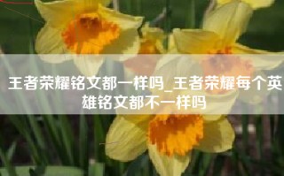 王者荣耀铭文都一样吗_王者荣耀每个英雄铭文都不一样吗
