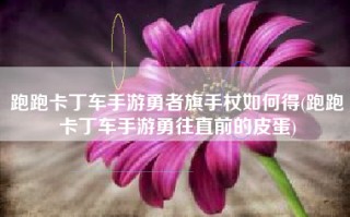 跑跑卡丁车手游勇者旗手杖如何得(跑跑卡丁车手游勇往直前的皮蛋)