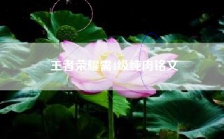 王者荣耀需4级纯肉铭文