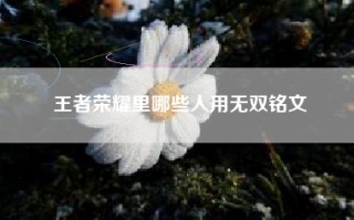 王者荣耀里哪些人用无双铭文