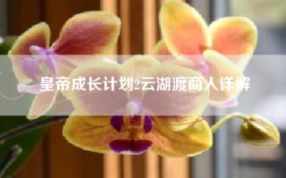 皇帝成长计划2云湖渡商人详解