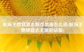 航海王燃烧意志散件装备怎么选(航海王燃烧意志无限彩钻版)