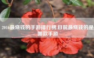 2016最烧钱的手游排行榜,目前最烧钱的是哪款手游