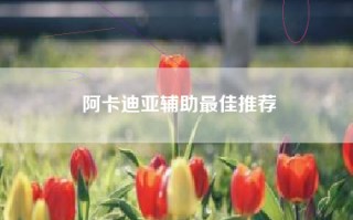 阿卡迪亚辅助最佳推荐