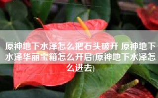原神地下水泽怎么把石头破开 原神地下水泽华丽宝箱怎么开启(原神地下水泽怎么进去)