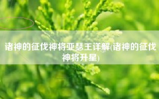 诸神的征伐神将亚瑟王详解(诸神的征伐神将升星)