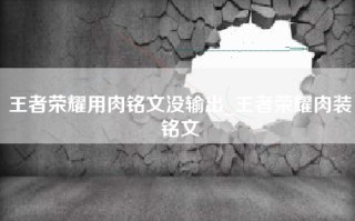 王者荣耀用肉铭文没输出_王者荣耀肉装铭文