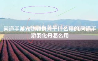 问道手游宠物顿悟丹干什么用的,问道手游羽化丹怎么用