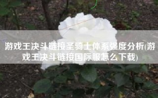 游戏王决斗链接圣骑士体系强度分析(游戏王决斗链接国际服怎么下载)