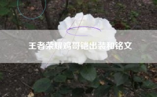 王者荣耀鸡哥铠出装和铭文