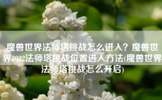 魔兽世界法师塔挑战怎么进入？魔兽世界2022法师塔挑战位置进入方法(魔兽世界法师塔挑战怎么开启)
