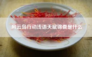 风云岛行动浅语天赋锦囊是什么