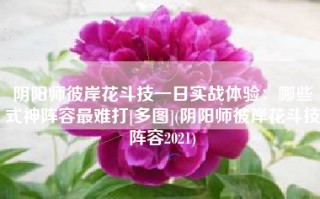 阴阳师彼岸花斗技一日实战体验：哪些式神阵容最难打[多图](阴阳师彼岸花斗技阵容2021)