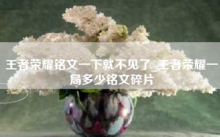 王者荣耀铭文一下就不见了_王者荣耀一局多少铭文碎片