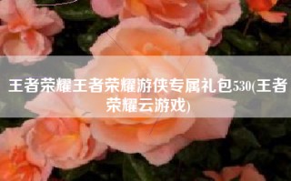 王者荣耀王者荣耀游侠专属礼包530(王者荣耀云游戏)
