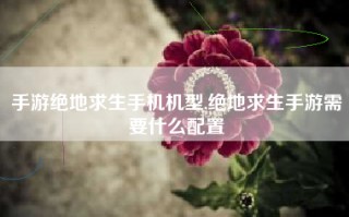 手游绝地求生手机机型,绝地求生手游需要什么配置