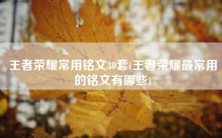 王者荣耀常用铭文30套(王者荣耀最常用的铭文有哪些)