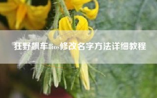 狂野飙车8ios修改名字方法详细教程