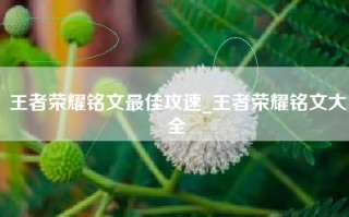 王者荣耀铭文最佳攻速_王者荣耀铭文大全
