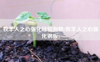 牧羊人之心强化经验狗粮(牧羊人之心强化钢板)