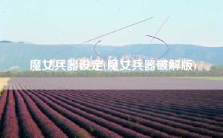 魔女兵器设定(魔女兵器破解版)