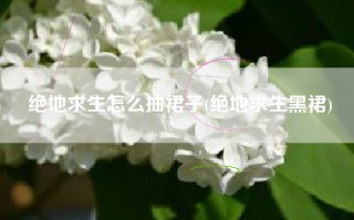 绝地求生怎么抽裙子(绝地求生黑裙)