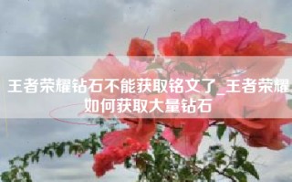 王者荣耀钻石不能获取铭文了_王者荣耀如何获取大量钻石