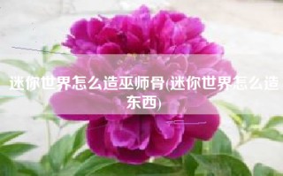 迷你世界怎么造巫师骨(迷你世界怎么造东西)