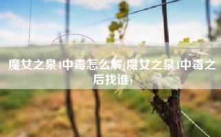 魔女之泉4中毒怎么解(魔女之泉4中毒之后找谁)