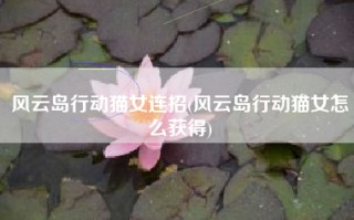 风云岛行动猫女连招(风云岛行动猫女怎么获得)