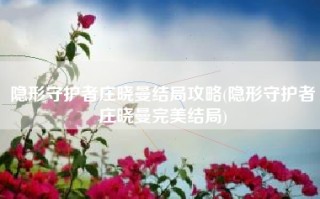 隐形守护者庄晓曼结局攻略(隐形守护者庄晓曼完美结局)