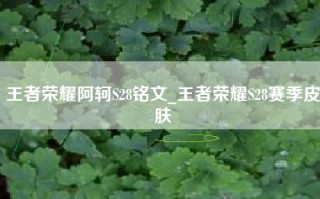 王者荣耀阿轲S28铭文_王者荣耀S28赛季皮肤