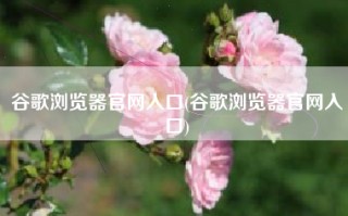 谷歌浏览器官网入口(谷歌浏览器官网入口)