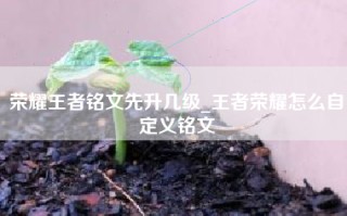 荣耀王者铭文先升几级_王者荣耀怎么自定义铭文
