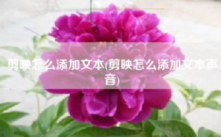 剪映怎么添加文本(剪映怎么添加文本声音)