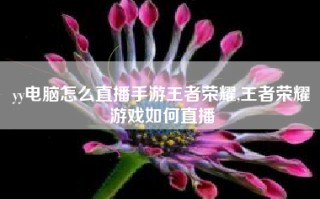 yy电脑怎么直播手游王者荣耀,王者荣耀游戏如何直播
