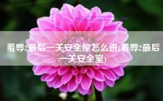 羞辱2最后一关安全屋怎么进(羞辱2最后一关安全室)