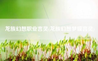 龙族幻想职业言灵(龙族幻想梦貘言灵)