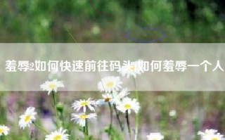 羞辱2如何快速前往码头(如何羞辱一个人)