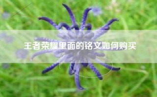 王者荣耀里面的铭文如何购买