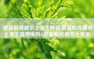 碧蓝航线威尔士亲王阵容,碧蓝航线威尔士亲王值得练吗-(碧蓝航线威尔士亲王)