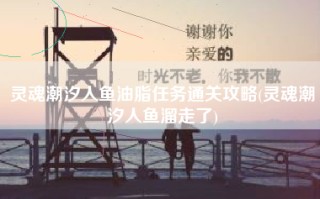 灵魂潮汐人鱼油脂任务通关攻略(灵魂潮汐人鱼溜走了)