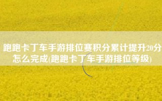 跑跑卡丁车手游排位赛积分累计提升20分怎么完成(跑跑卡丁车手游排位等级)