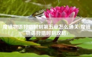 魔镜物语狩猎时刻第五章怎么通关(魔镜物语狩猎时刻攻略)