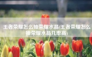 王者荣耀怎么抽荣耀水晶(王者荣耀怎么抽荣耀水晶几率高)
