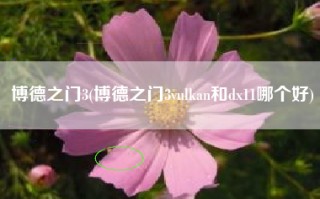 博德之门3(博德之门3vulkan和dx11哪个好)