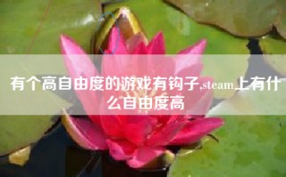 有个高自由度的游戏有钩子,steam上有什么自由度高